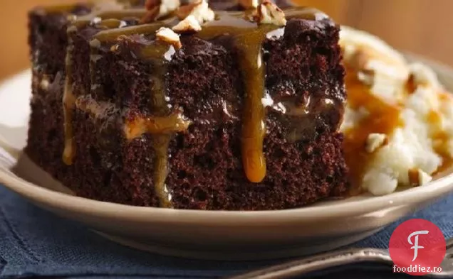 Tort De Broască Țestoasă Cu Ciocolată