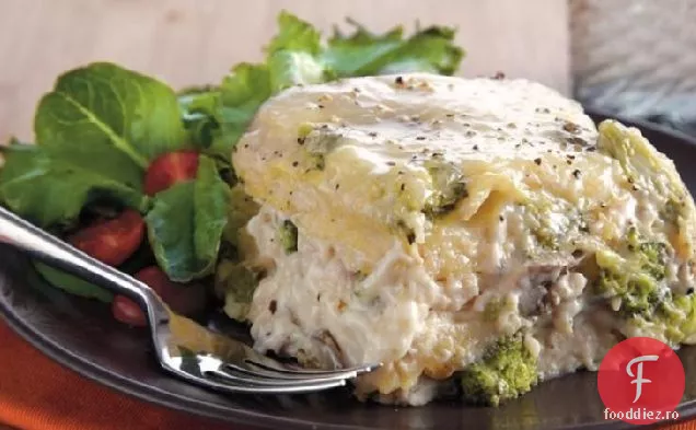 Lasagna Cu Broccoli De Pui Cu Aragaz Lent