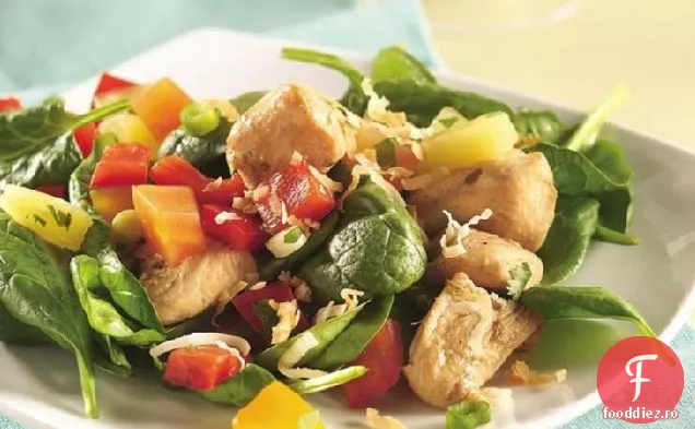 Salată De Pui Acoperită Cu Salsa Tropicală