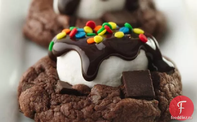 Ciocolată Marshmallow Cookie Tratează