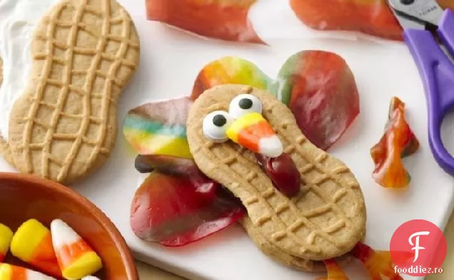 Curcan Cu Pene Fructate