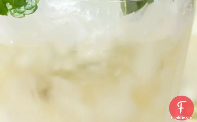 Mentă Tradițională Julep