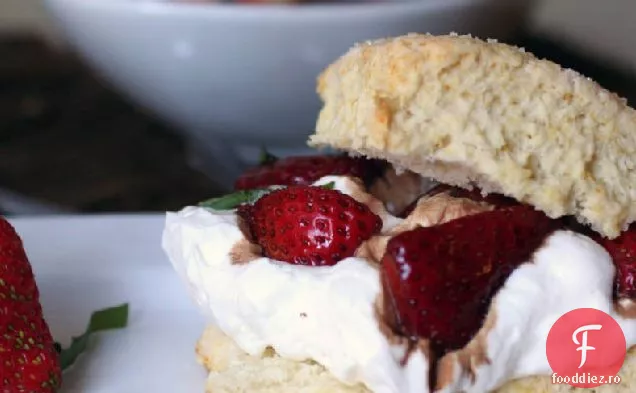 Shortcakes Cu Căpșuni-Busuioc-Lămâie