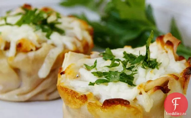 Cupe De Lasagna Din Turcia