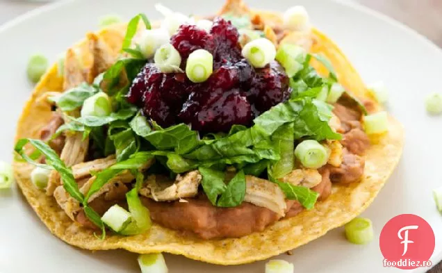 Tostadas de curcan cu sos Chipotle de afine