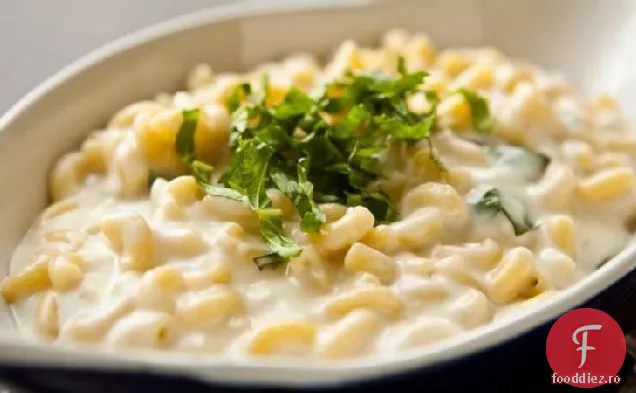 Mozzarella macaroane și brânză