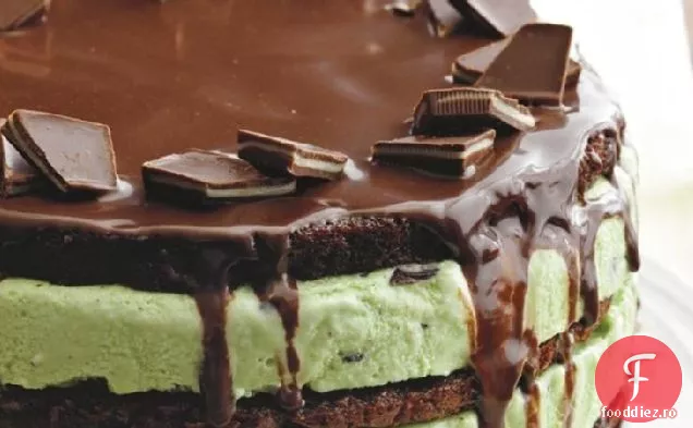 Fudge Mentă Înghețată Torte