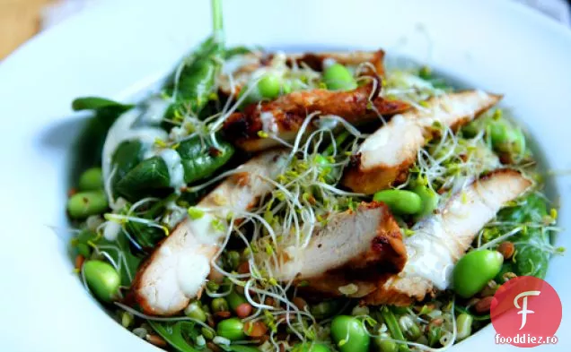 Salată Superalimentară De Pui Rocket Power