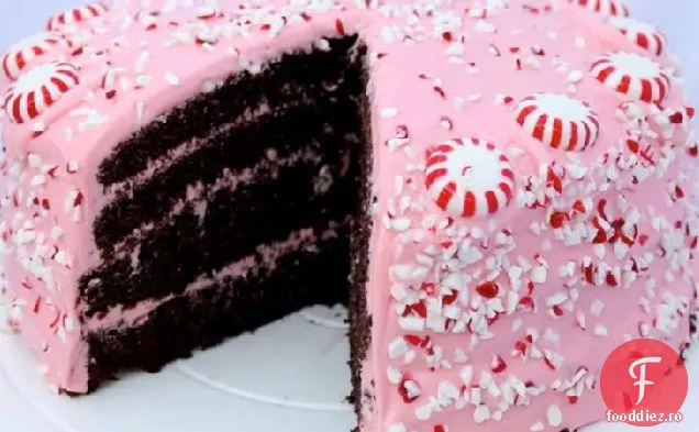 Tort de ciocolată Fudge cu glazură de brânză cremă de mentă Roz
