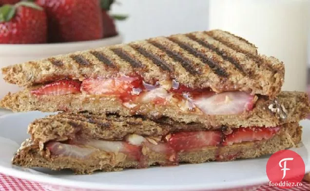 ADULT PB & J Sandwich
