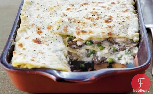 Turcia Tetrazzini Lasagna