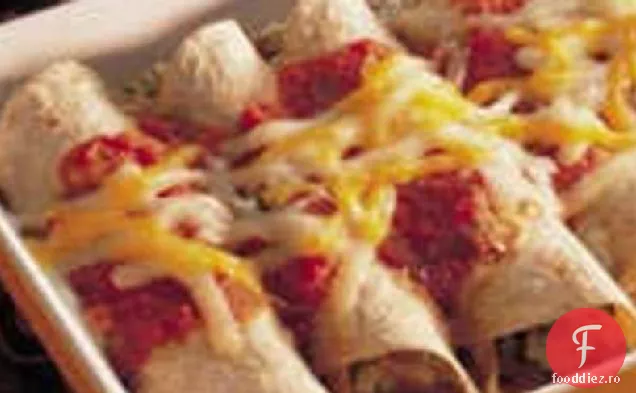 Anasazi Enchiladas