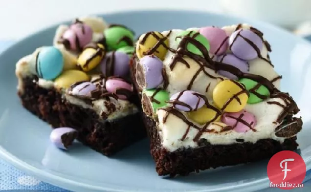 Brownies Tradiționale De Sărbătoare De Primăvară