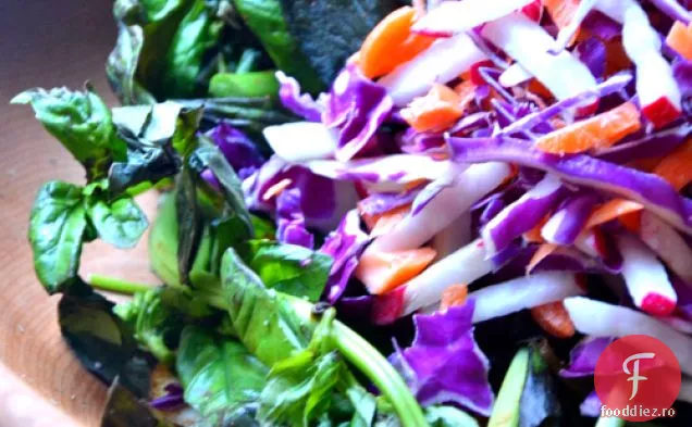 Salată De Slaw Violet Cu Sos De Oțet De Arțar