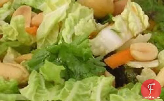 Salată de varză Napa cu vinetă de lămâie-fistic