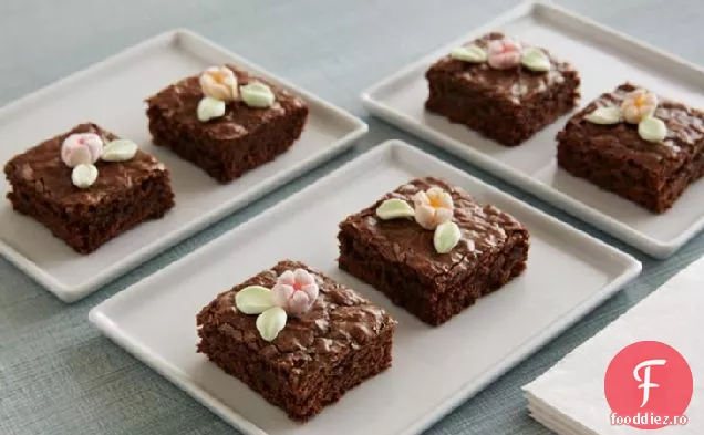 Brownies Cu Flori De Primăvară