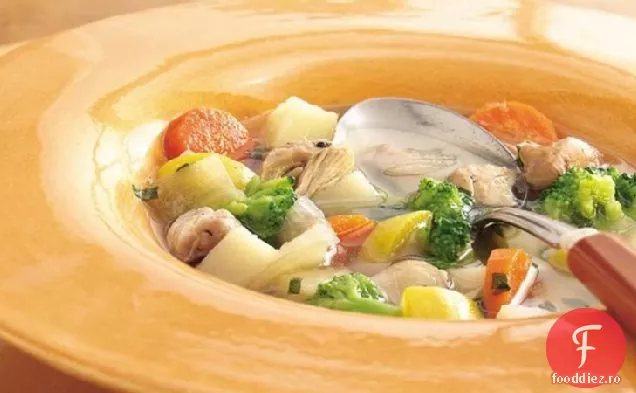 Supă De Pui Cu Recoltă De Grădină Cu Aragaz Lent