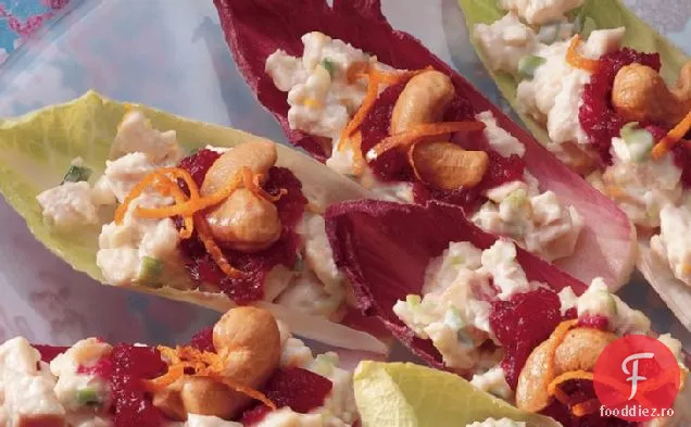 Endive cu salată de pui cu portocale de afine