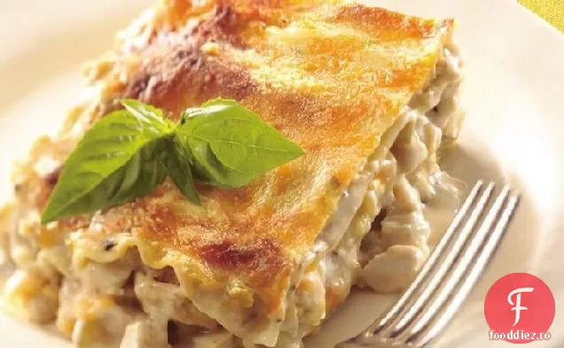 Lasagna Cremoasă De Pui