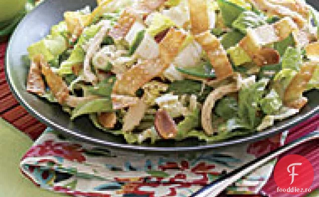 Salată Crocantă De Pui Chinezesc