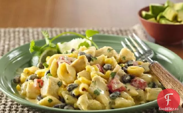 Paste De Pui Cheddar Din Sud-Vest