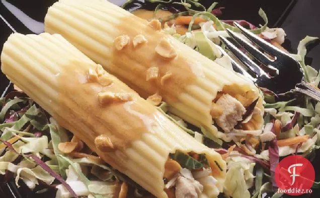 Salată Asiatică De Pui Manicotti