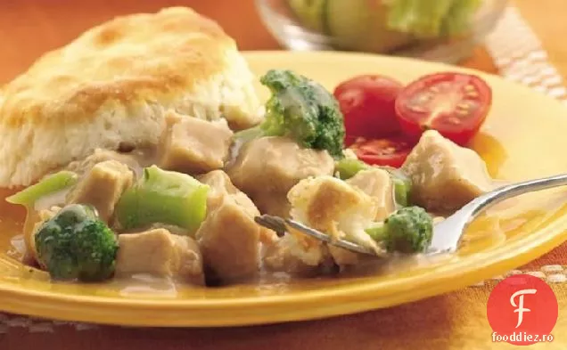 Easy Turkey ' n biscuiti