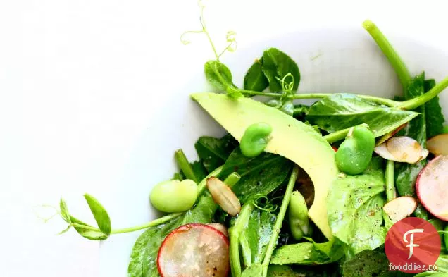 Salată De Lăstari De Mazăre Cu Fasole Fava