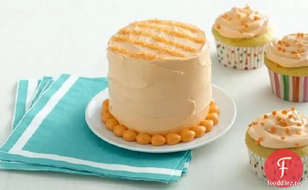 Dungi Mini Smash Tort