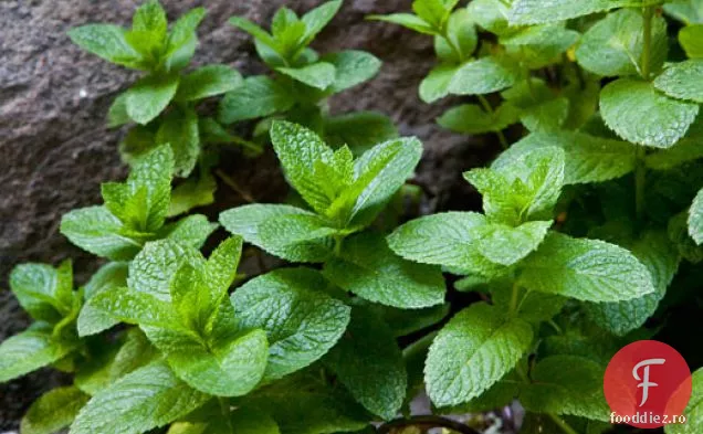 Hummus De Mazăre De Primăvară