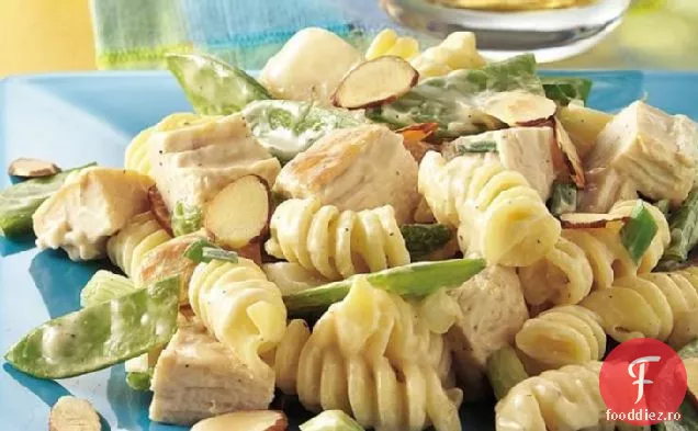 Salată de păstăi de mazăre și paste de pui