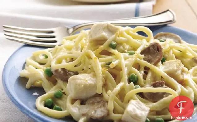 Tetrazzini De Pui
