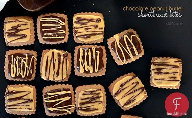 Ciocolată Unt De Arahide Shortbread Bites