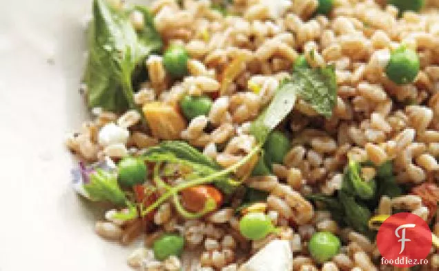 Farro, Lăstari De Mazăre Și Salată De Brânză De Capră