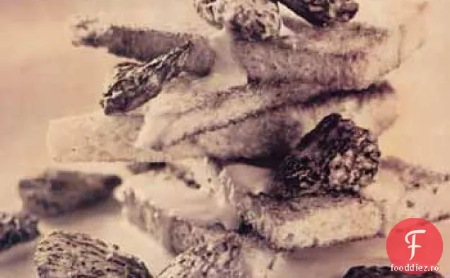 Morels in crema pe Brioche (Morilles, la, la, Cr, la)