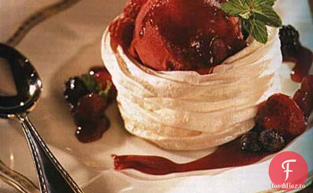 Vacherine cu Sorbet de zmeură și sos mixt de fructe de pădure-Cardamom