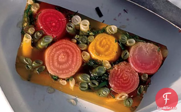 Terină Vegetală De Vară