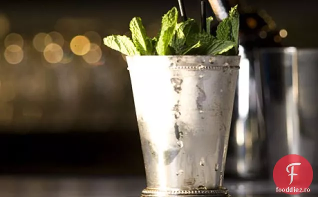Mint Julep