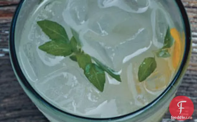 Basil Vodka Gimlets
