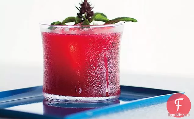 Blackberry-Gin Fizz