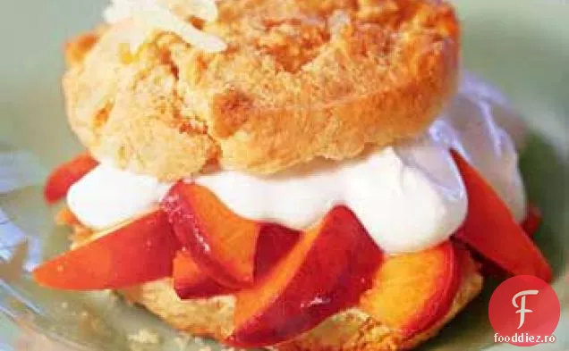 Caramelizate-nectarine și ghimbir Shortcakes cu smântână
