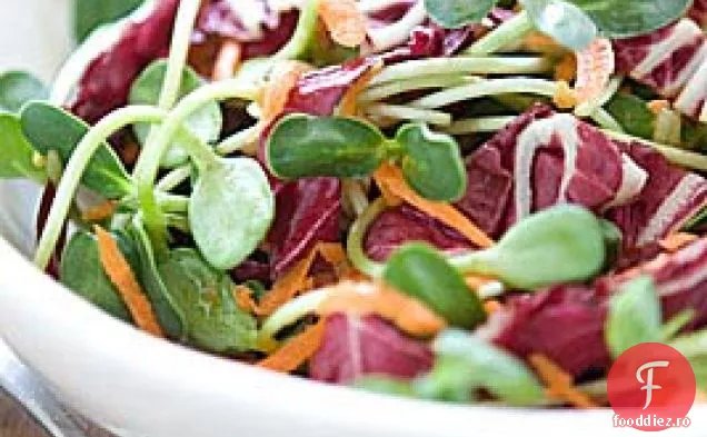 Salată De Morcovi Și Floarea Soarelui