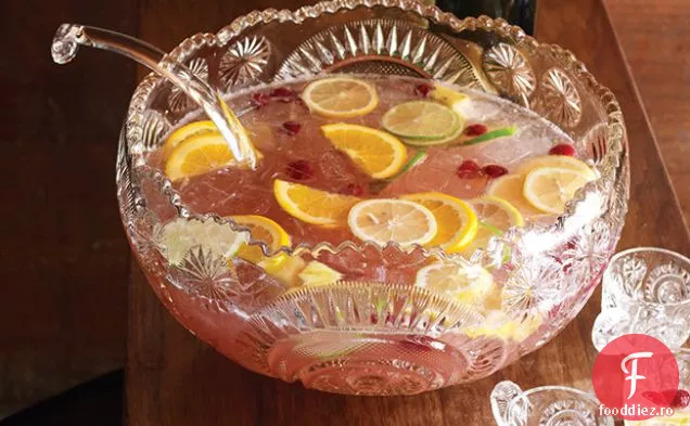 Gin Punch
