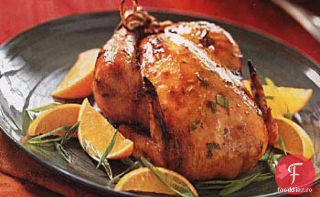 Găini de vânat Cornish prăjite cu sos portocaliu-Teriyaki