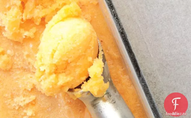 Plutitor De Sorbet De Caise