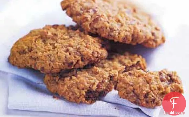 Ciocolată Bucată Fulgi De Ovăz Nucă De Cocos Cookie-Uri