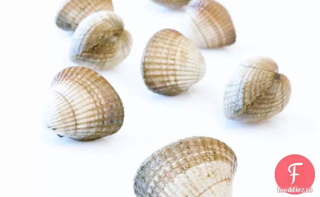 John Dory prăjit în tigaie cu Cocole, Samphire și Cockle Velout 4
