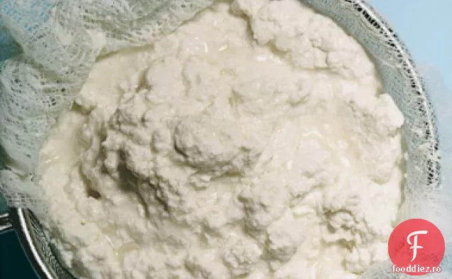 Brânză Ricotta Proaspătă