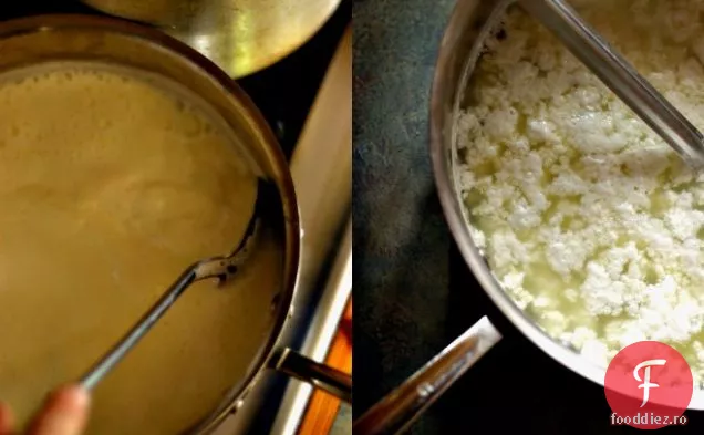 Saag Paneer: Spanac Cu Brânză Indiană