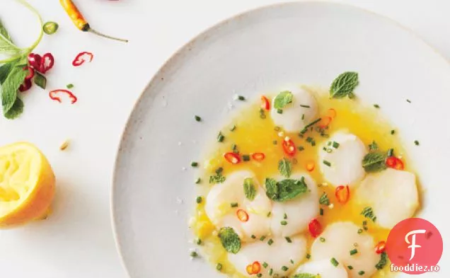 Scallop Crudo